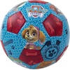 image:imageHedstrom Football ProductsPaw Patrol Jr