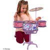image:imageHedstrom Large Drum Set  3 Drums 1 Cymbal 2 Drum Sticks amp Stand PAW PatrolDisney Princess