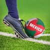 image:imageHedstrom Regent Game Winner Soccer Ball Size 5 Ships Deflated  ArgentinaMexico