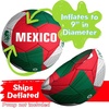 image:imageHedstrom Regent Game Winner Soccer Ball Size 5 Ships Deflated  ArgentinaMexico