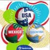 image:imageHedstrom Regent Game Winner Soccer Ball Size 5 Ships Deflated  ArgentinaUSA