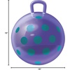 image:imageThe Original Hedstrom Green Striped 15 Hopper BallPurple
