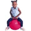 image:imageThe Original Hedstrom Metallic Purple Fun Hopper Ball inflates up to 15Pink