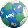 image:imageHedstrom Football ProductsBluey Jr