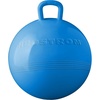 image:imageThe Original Hedstrom Metallic Purple Fun Hopper Ball inflates up to 15Blue