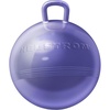 image:imageThe Original Hedstrom Metallic Purple Fun Hopper Ball inflates up to 15Metallic Purple