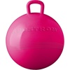 image:imageThe Original Hedstrom Metallic Purple Fun Hopper Ball inflates up to 15Pink